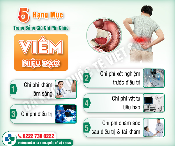 https://phongkhamdakhoavietsing.vn/wp-content/uploads/2023/06/6-viem-nieu-dao.jpg