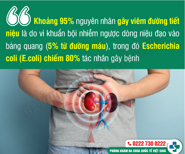https://phongkhamdakhoavietsing.vn/wp-content/uploads/2023/06/7-nguyen-nhan-viem-duong-tiet-nieu.jpg