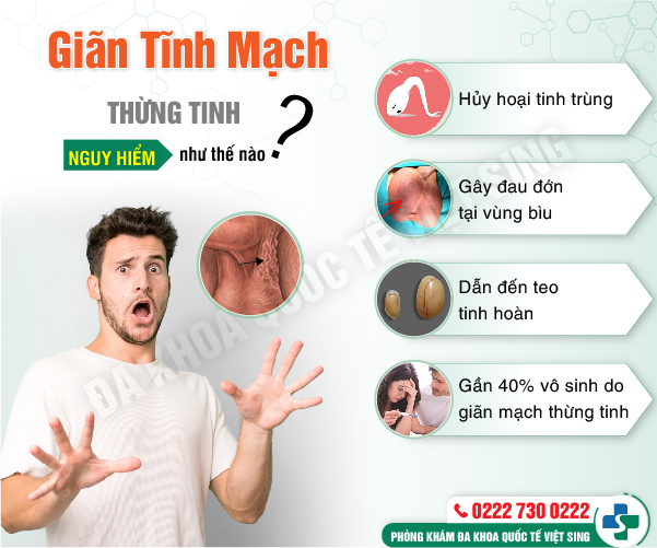 https://phongkhamdakhoavietsing.vn/wp-content/uploads/2023/06/gian-tinh-mach-thung-tinh.jpg