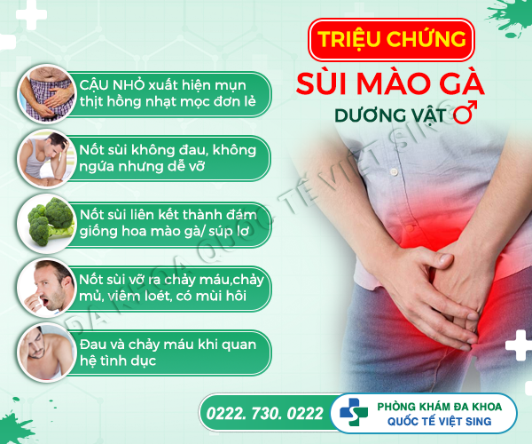https://phongkhamdakhoavietsing.vn/wp-content/uploads/2023/06/smgduongvat.png