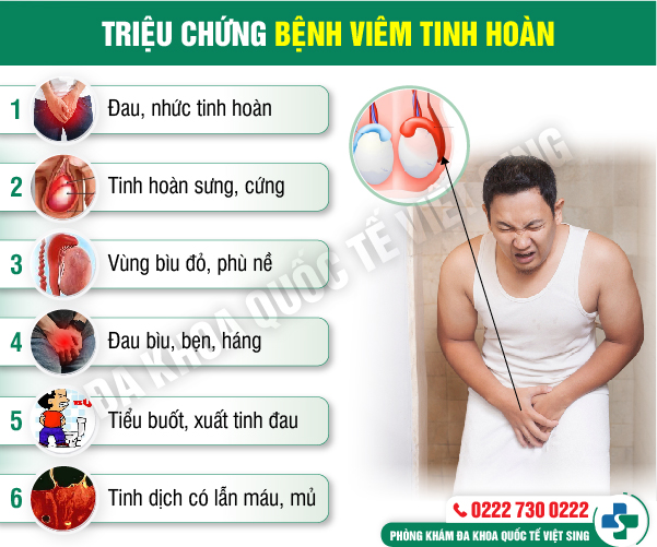 https://phongkhamdakhoavietsing.vn/wp-content/uploads/2023/06/trieu-chung-viem-tinh-hoàn.jpg