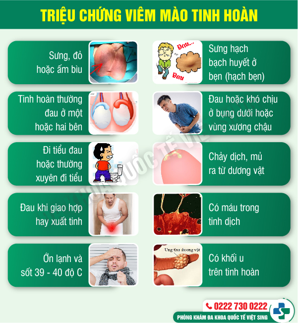 https://phongkhamdakhoavietsing.vn/wp-content/uploads/2023/06/viem-mao-tinh-hoan.jpg