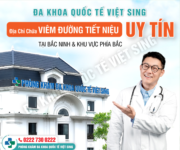 https://phongkhamdakhoavietsing.vn/wp-content/uploads/2023/08/nk-BACNINH-04.jpg