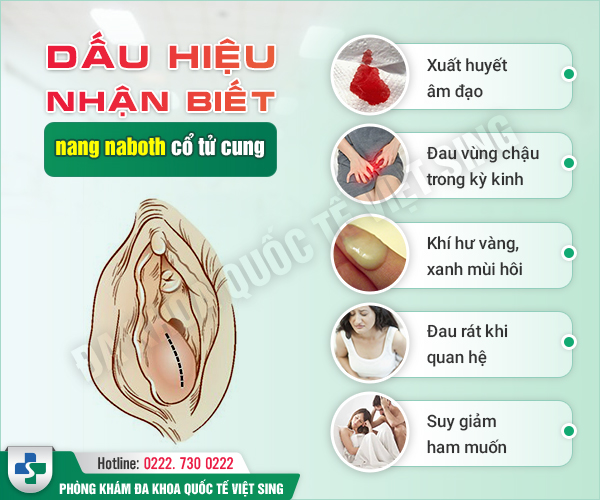 Giải đáp từ chuyên gia: Nang naboth cổ tử cung có nguy hiểm không? Chữa như thế nào?